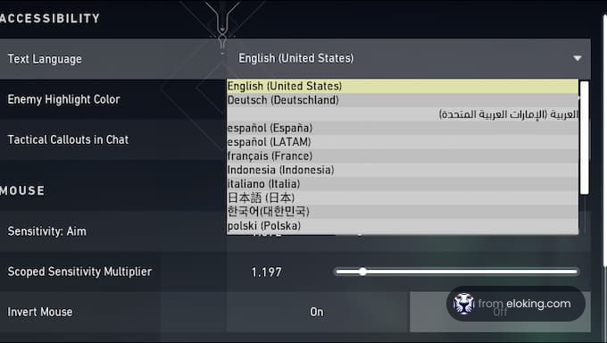 Screenshot of accessibility settings with language selection options