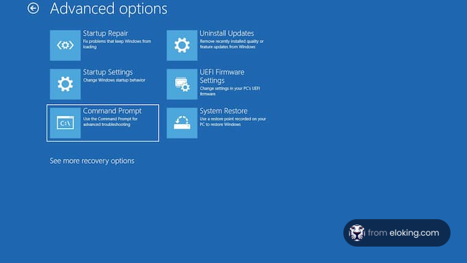 Screenshot of Windows Advanced Options for system recovery