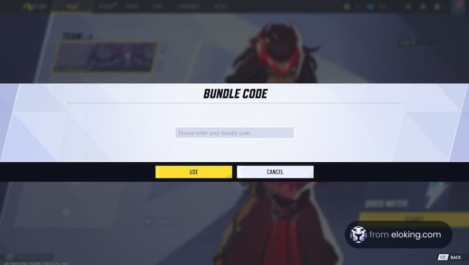 Bundle code entry screen with a prompt to enter your bundle code.