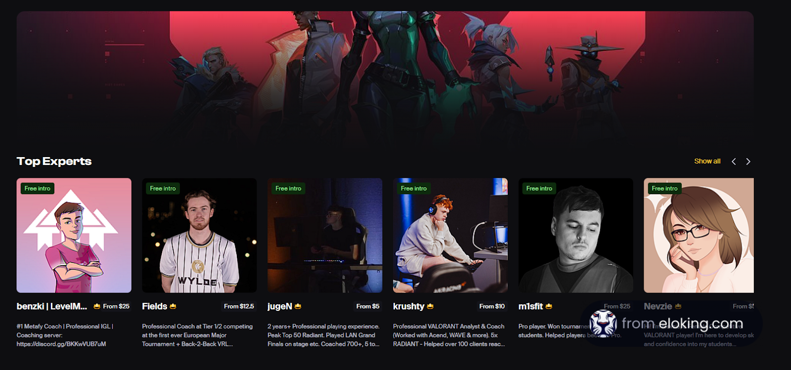 A selection of esports coaches and experts displayed on a coaching platform