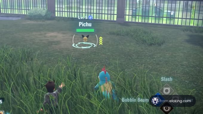A player encountering a Pichu in a grassy area during a game.