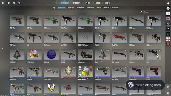 Detailed view of a digital game inventory showcasing various weapons and skins