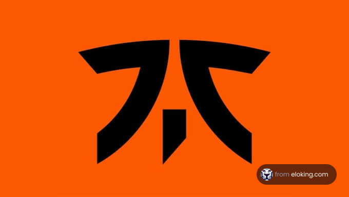 Fnatic logo on an orange background