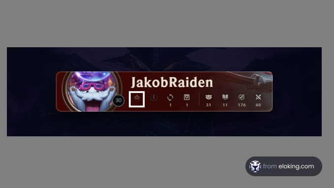 Gamer profile statistics banner displaying the user name JakobRaiden with player avatar and game metrics.