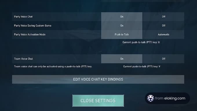 Interface of gaming voice chat settings with options for party and team