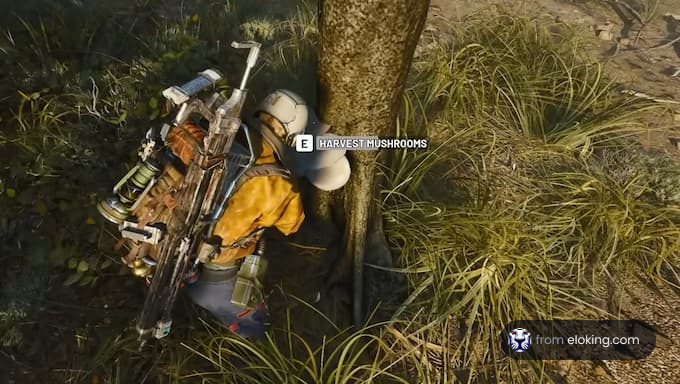 A character harvesting mushrooms in a lush forest environment.