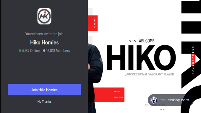 Invitation to join 'Hiko Homies' gaming community with member stats and welcome message