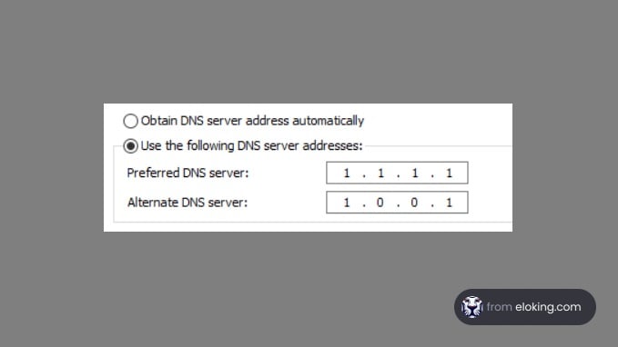 Screenshot showing manual DNS server settings with specific IP addresses