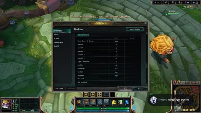 Screenshot of a video game settings menu showing hotkeys and game options