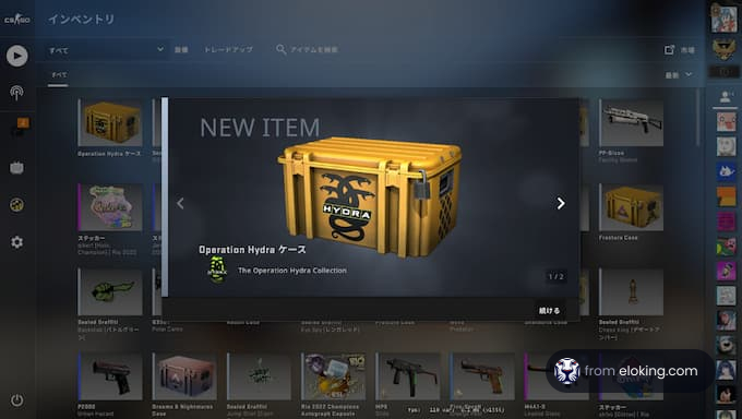 Screenshot of a new item, Operation Hydra Case, in an inventory screen