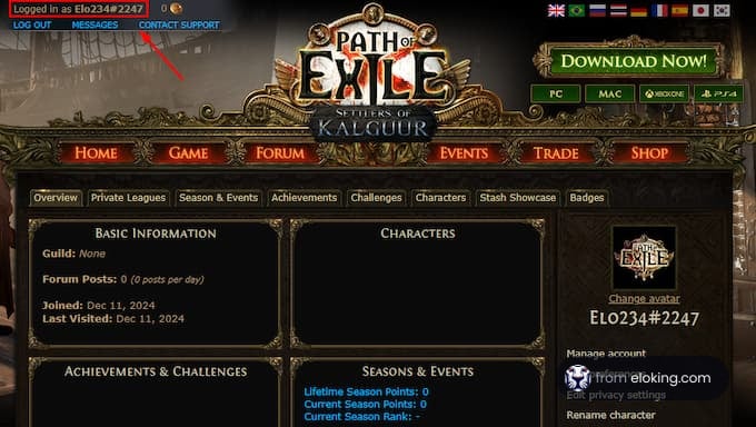 Logged in to Path of Exile account overview