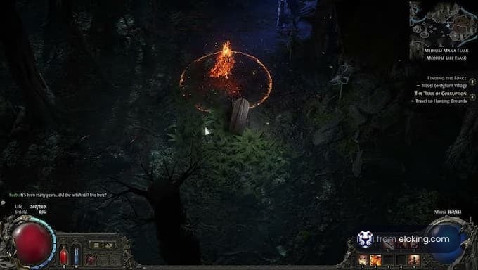 Gameplay screenshot from Path of Exile showing a fire and surrounding environment