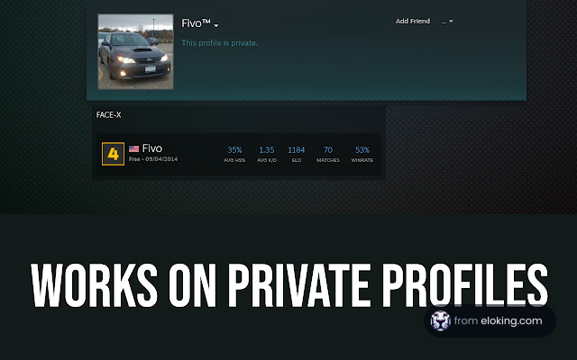Screenshot of a website showing an online tool that works on private profiles, featuring user data and car image.