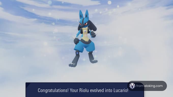 Congratulations! Your Riolu evolved into Lucario!