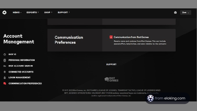 Screenshot of Riot Games account management interface