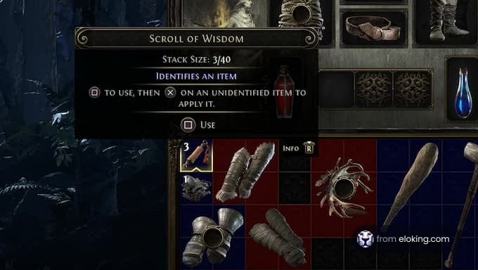 Scroll of Wisdom in a game inventory showing item identification details