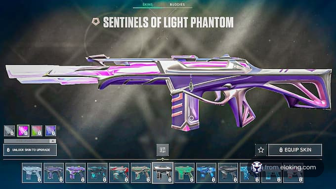 Sentinels of Light Phantom weapon skin in a game