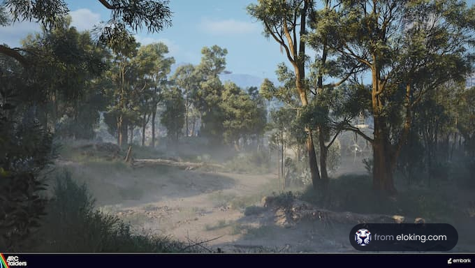 Eine ruhige Naturlandschaft mit einem nebligen Wald.