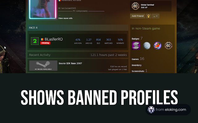 Screenshot of a gaming profile indicating a ban