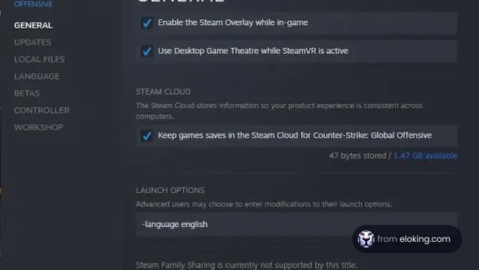 Steam general settings with language options