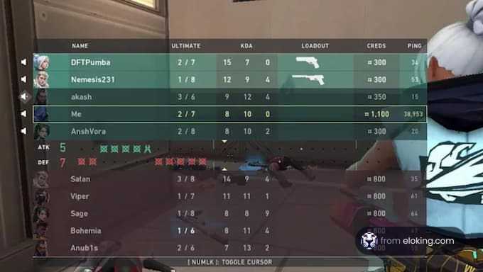 Player statistics from a Valorant match