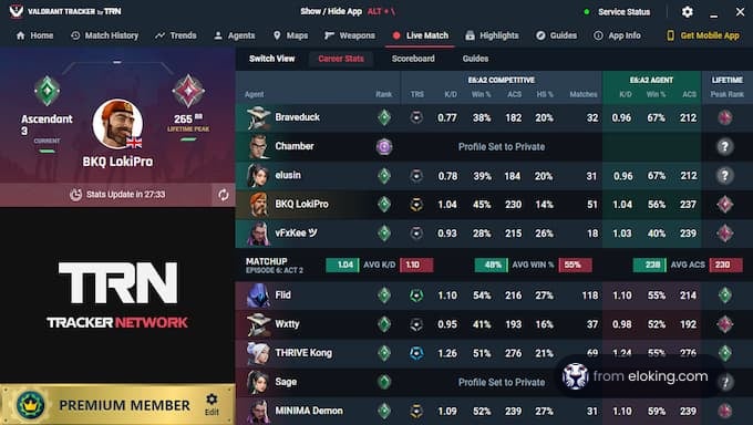 Screenshot of Valorant player statistics on a tracking network