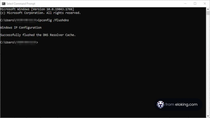 Command Prompt window showing an executed ipconfig flush DNS command